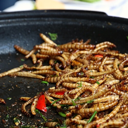 Speiseinsekten: gesundheitliche Risiken